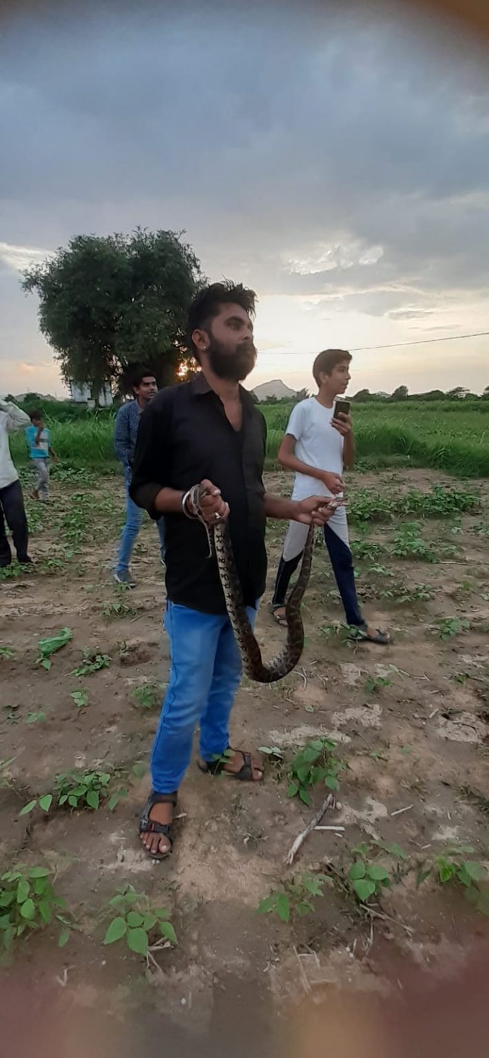 झाड़ोली के दुधने वाले कुएं पर पकड़ा अजगर