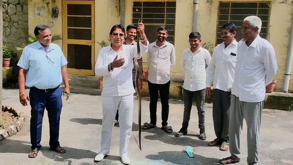 अतिरिक्त कलेक्टर के बंगले में 15 दिनों से परेशान कर रहे 6 फीट लंबे साँप को आज पकड़ा।