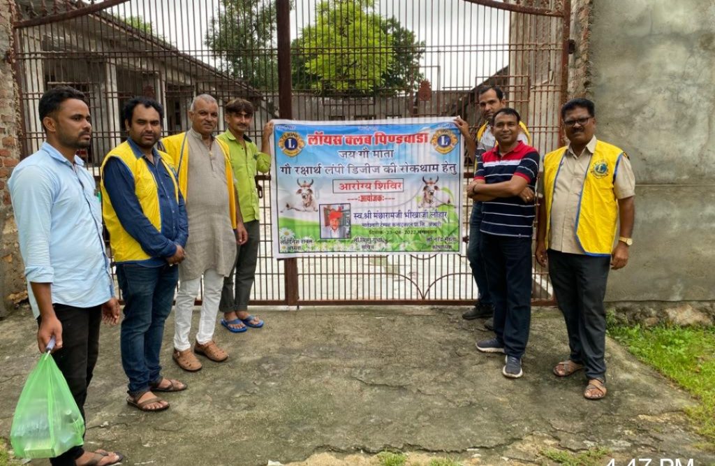 लायंस क्लब पिंडवाड़ा द्वारा लंपी स्कीन डिजीज से गायों के बचाव हेतु निशुल्क टीकाकरण दवाई वितरण का शिविर गांव अजारी में आयोजित ।