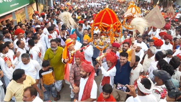 देव झुलनी एकादशी के अवसर पर महलो से निकली पालकियों के दर्शन करने उमड़ा जन सैलाब ।