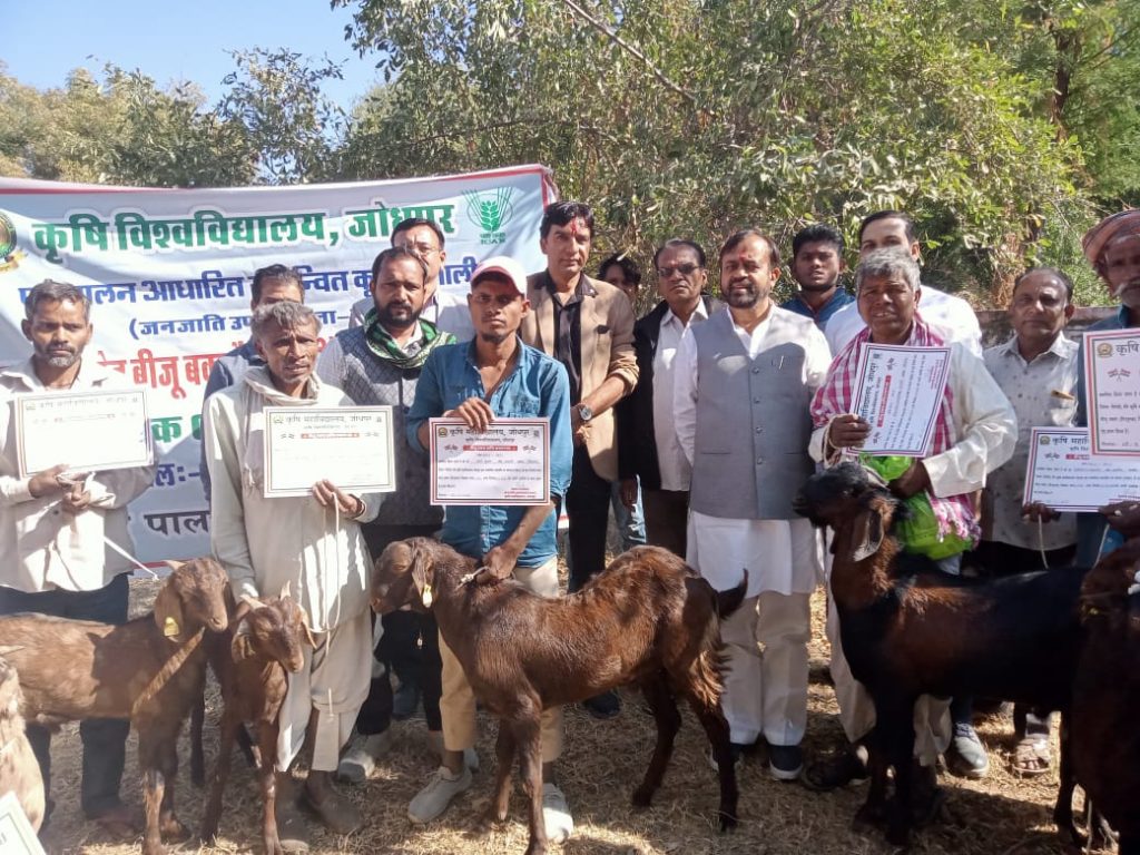 पशुओं के रखरखाव के लिए वैज्ञानिक तरीके अपनाएं पशुपालक : लोढ़ा ।