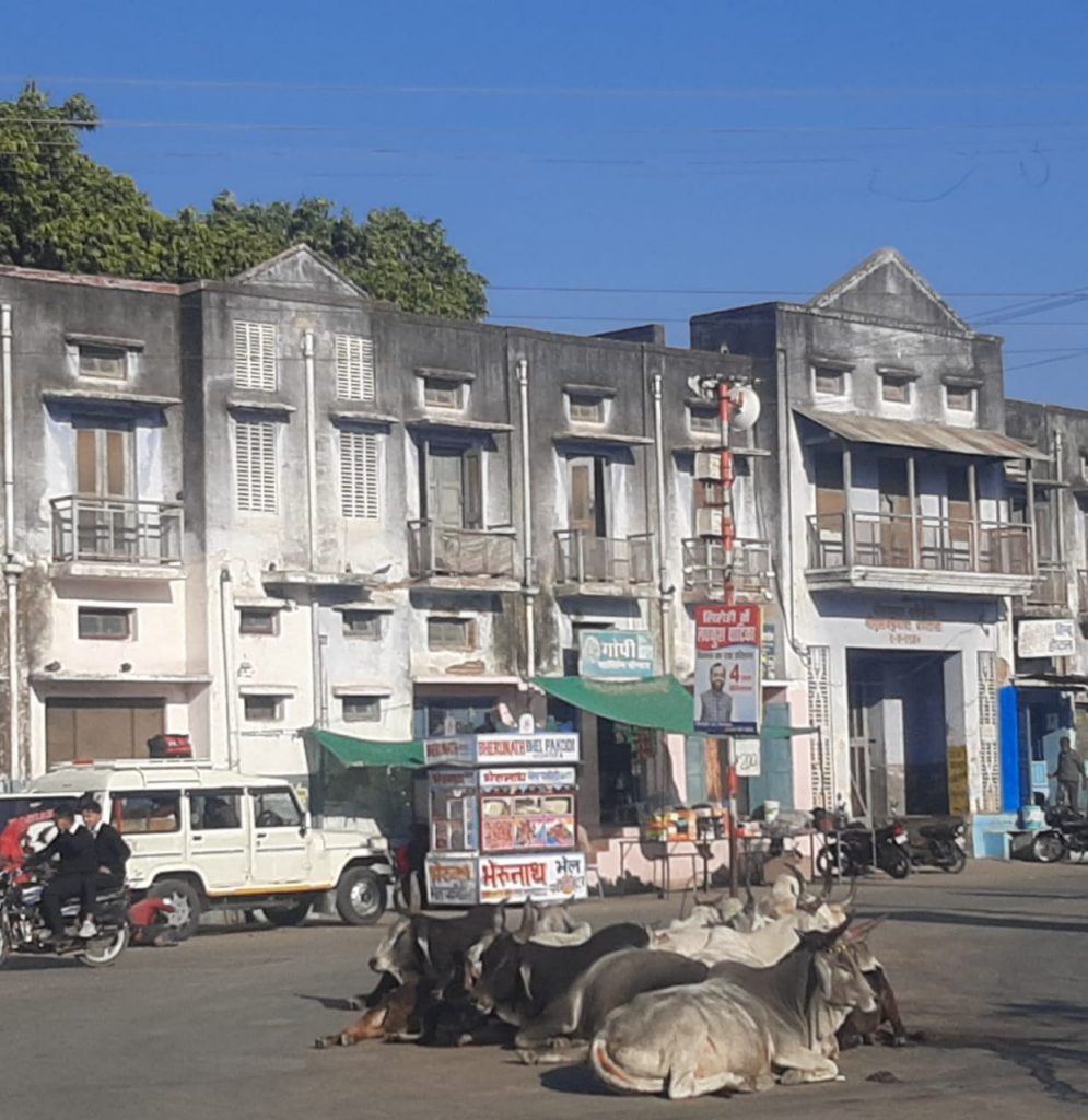 सिरोही – आवारा एवं निराश्रित गौवंश से आमजन को मिलेगी राहत, कलेक्टर ने दिए निर्देश