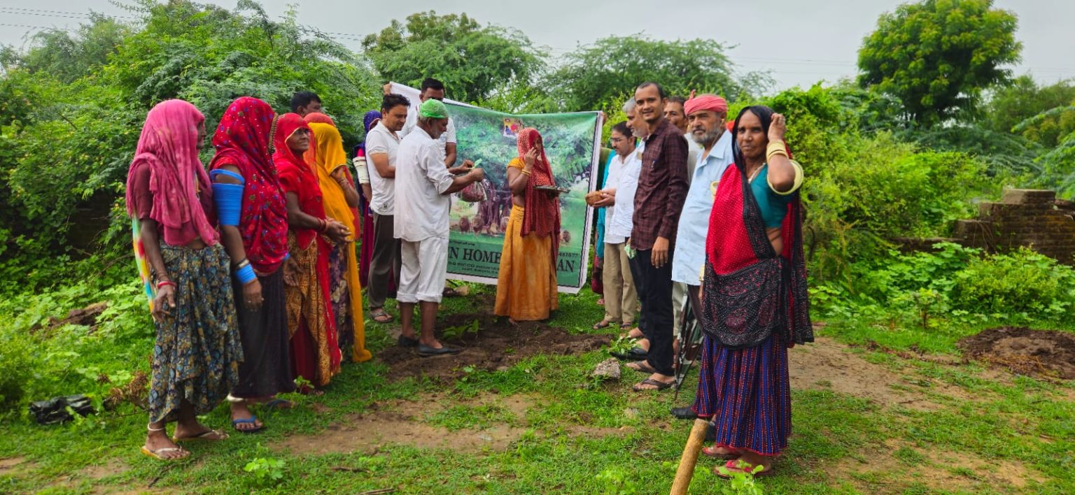 ग्राम पंचायत अजारी में ग्रीन होम संस्था व ग्राम पंचायत के सहयोग से 200 पौधे लगाए ।